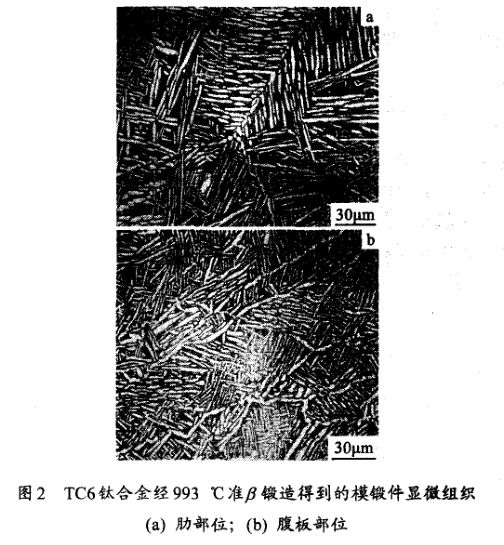 TC6鈦合金經(jīng)993 ℃準(zhǔn)鍛造得到的模鍛件顯微組織(a) 肋部位；(b) 腹板部位