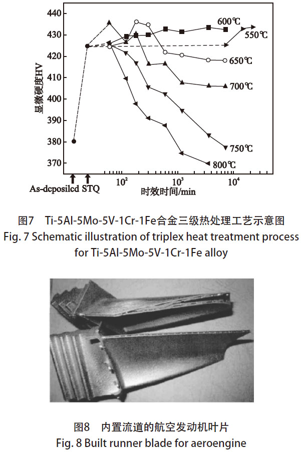 t7-8.jpg