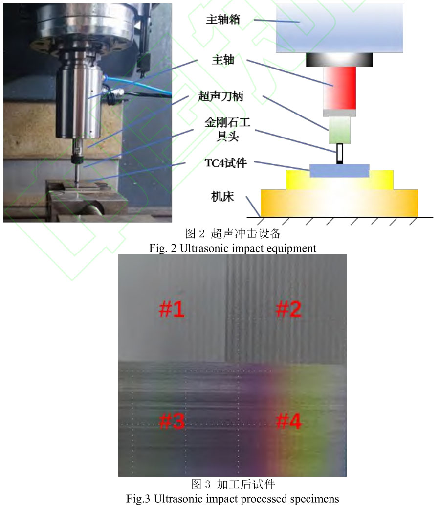 t2-3.jpg